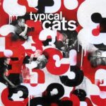 Typical Cats - 3 Typical Cats - 3