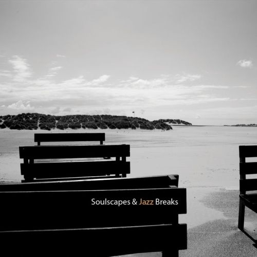 Z dolnej półki: Pat D & Lady Paradox – Soulscapes & Jazz Breaks