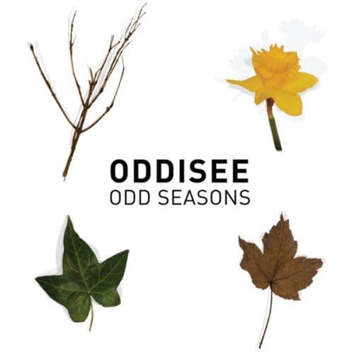 Recenzja LP: Oddisee – Odd Seasons